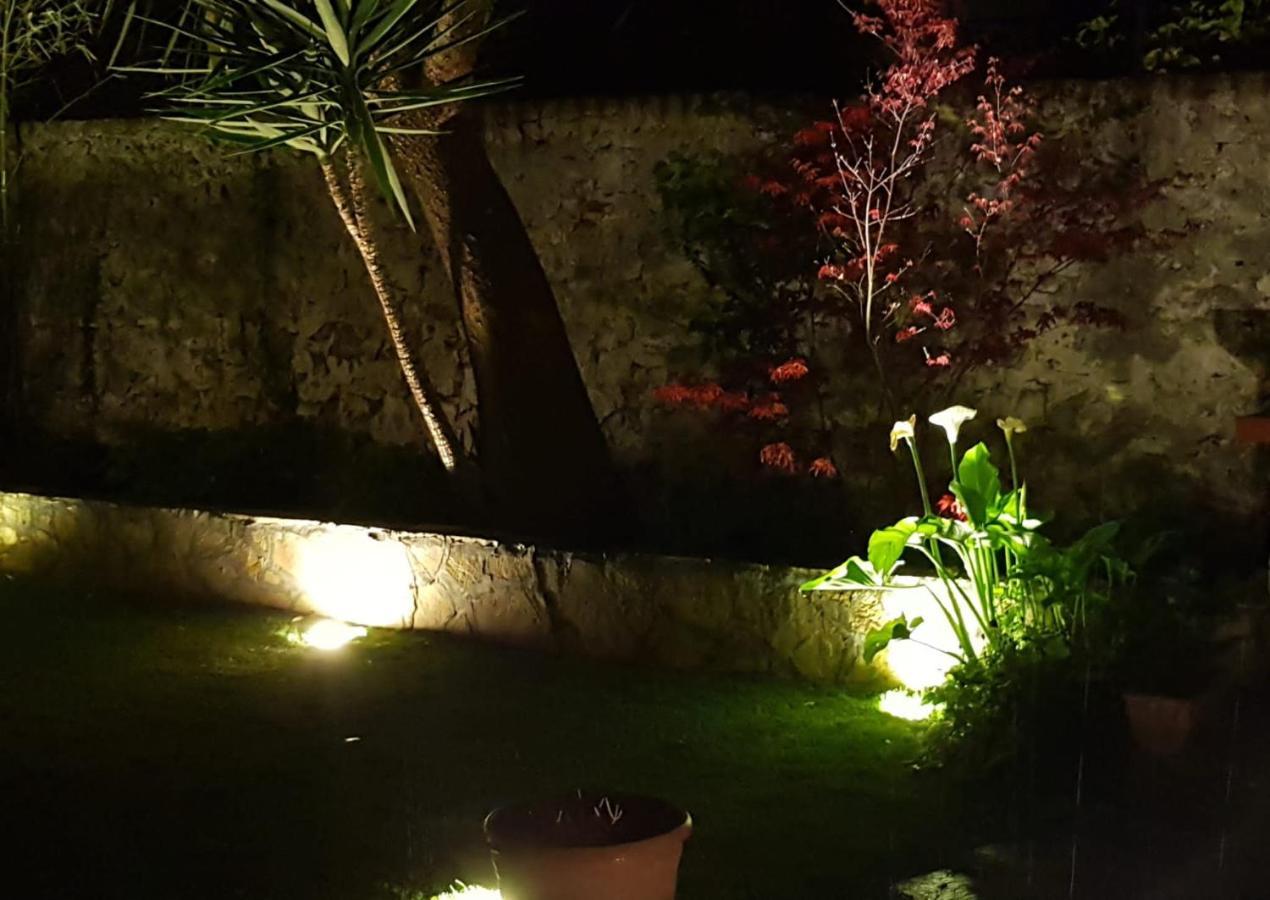 比萨La Casa Con Piscina Riscaldata Interna Anna Luxury Garden公寓 外观 照片